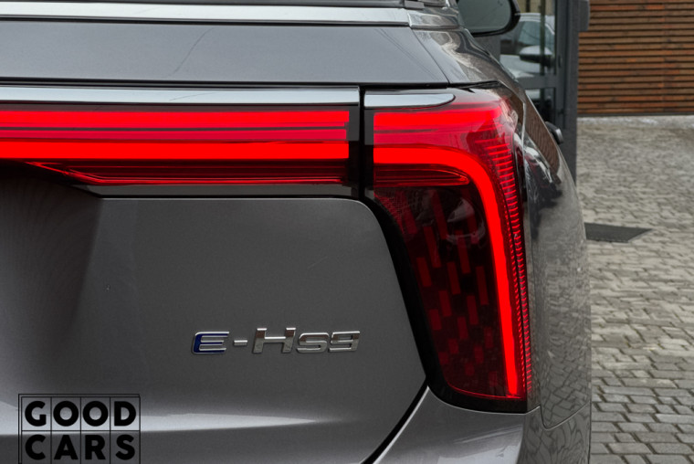 Hongqi E-HS9 - 10